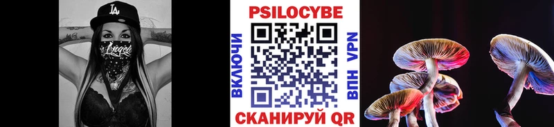 Псилоцибиновые грибы прущие грибы закладка Кинель